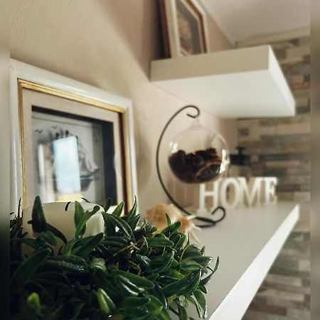 Loft Seca Villa Lucija Eksteriør billede